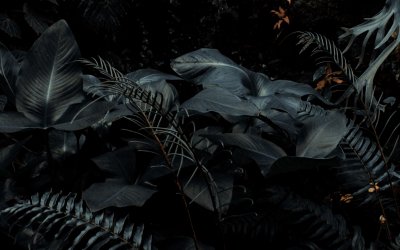 Темные листья