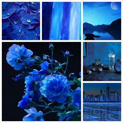 Синие цветы