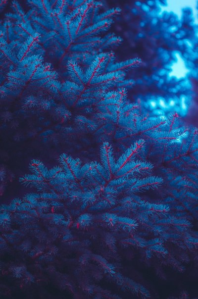 Эстетика синего и голубого