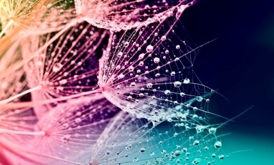 Красивый фон на телефон