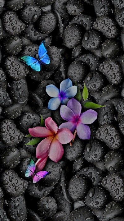 Обои на телефон