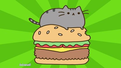 Котик с бургером