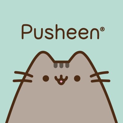 Кот Pusheen