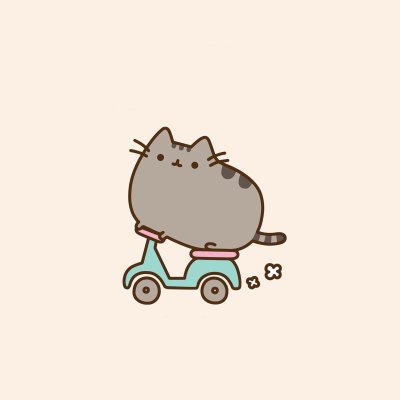 Кот Пушин Pusheen