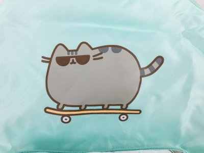 Пушин картинки