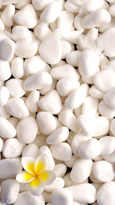 Красивая белая галька