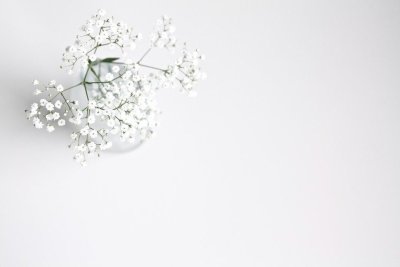 Цветочки Минимализм