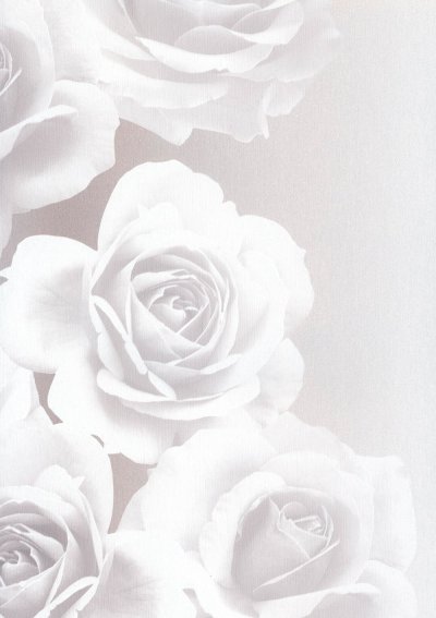 Красивый белый фон