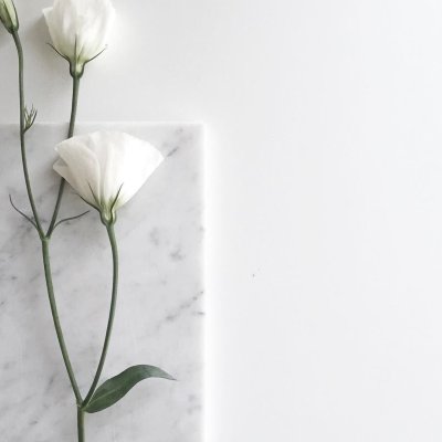 Цветы Минимализм