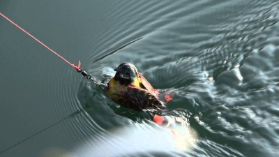 Красивая рыбалка