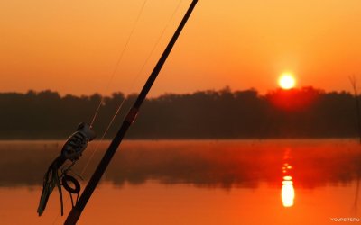 Рыбалка летом