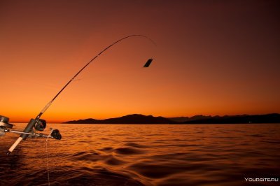 Природа рыбалка