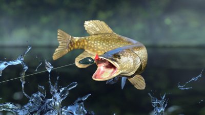 Рыбалка картинки