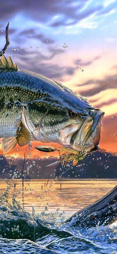 Природа рыбалка