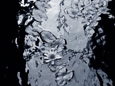 Черно белая Эстетика