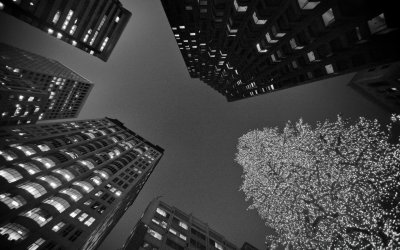 Чёрно-белая Эстетика