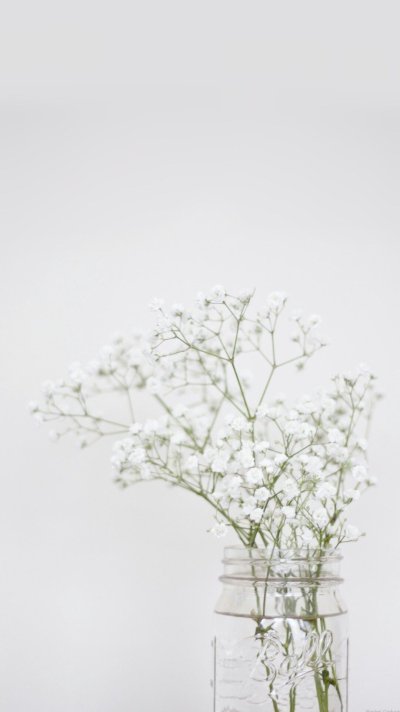 Сухоцветы Минимализм