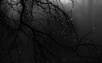 Красивые темные картинки