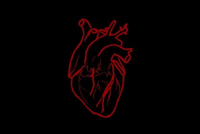 Анатомическое сердце на черном фоне