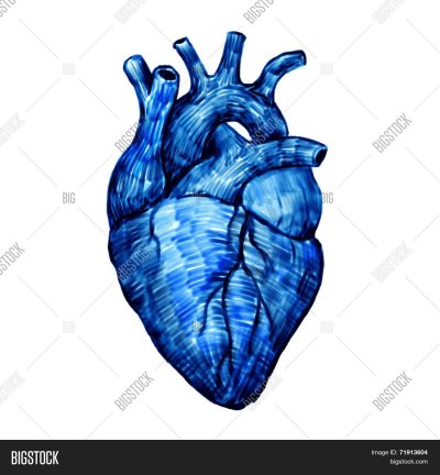 Сердце Графика