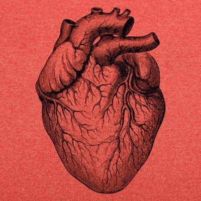 Сердце Эстетика