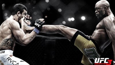 UFC banner