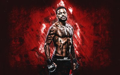 Michael Johnson UFC