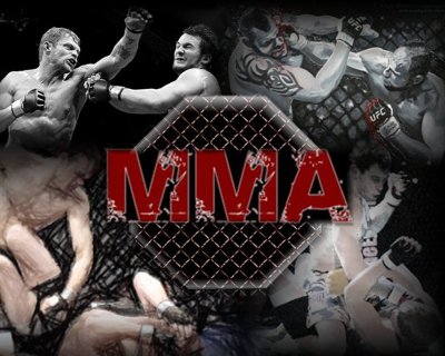 Смешанные единоборства ММА