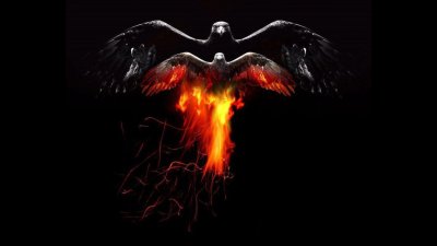 Птицы на черном фоне