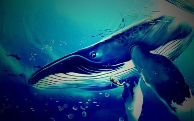 Синий кит обои