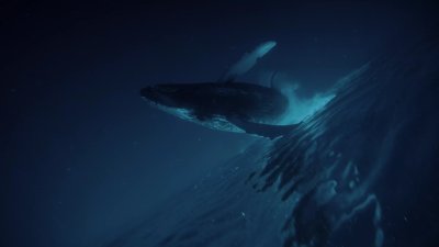 Киты в небе