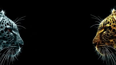 Фон рабочего стола для двух мониторов