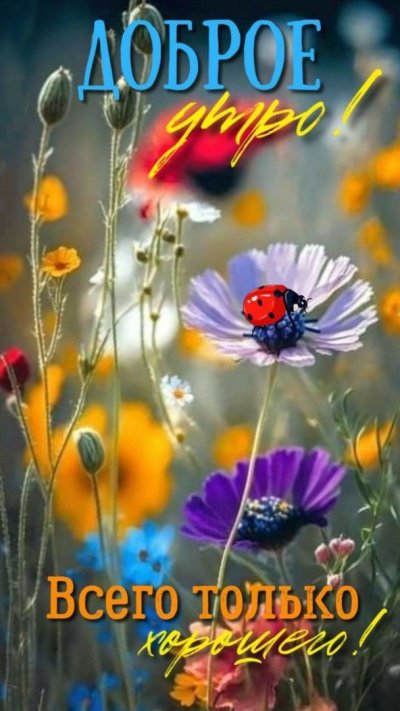 Доброе летнее утро июля