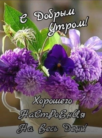 Доброе Июльское утро