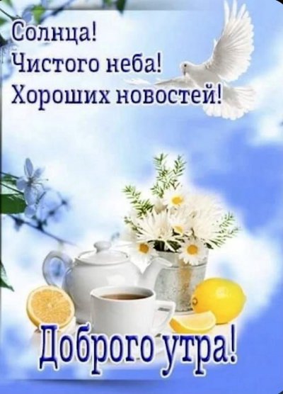 Доброе утро картинки