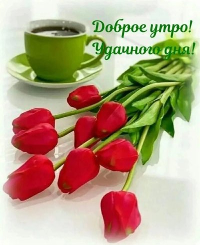 Доброе Весеннее утро хорошего дня