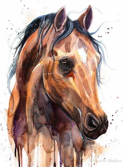 Портрет лошади акварелью