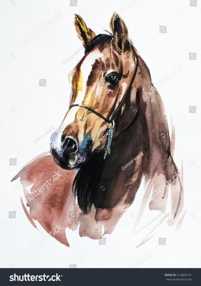 Портрет лошади акварелью