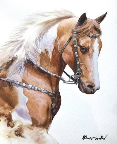 Kitipong Maksin акварель Horses