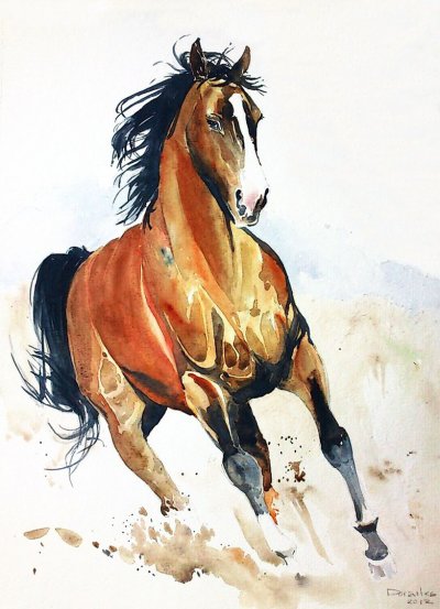 Ахалтекинская лошадь акварелью