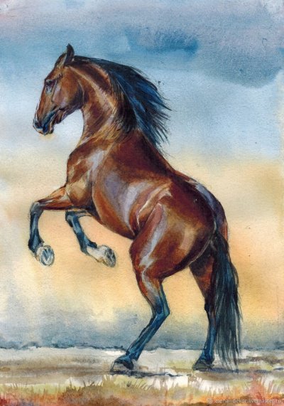 Лошади акварелью картины