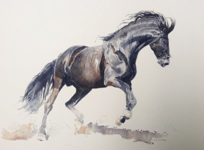 Черная лошадь акварелью