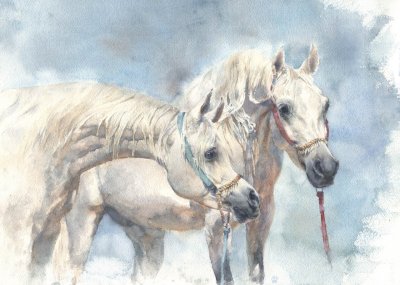 Лошадь рисунок акварелью