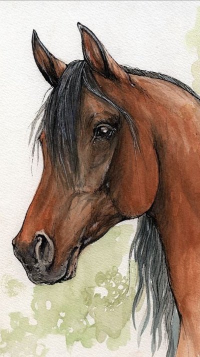 Рисование морды лошади