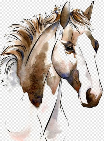 Лошадь рисунок