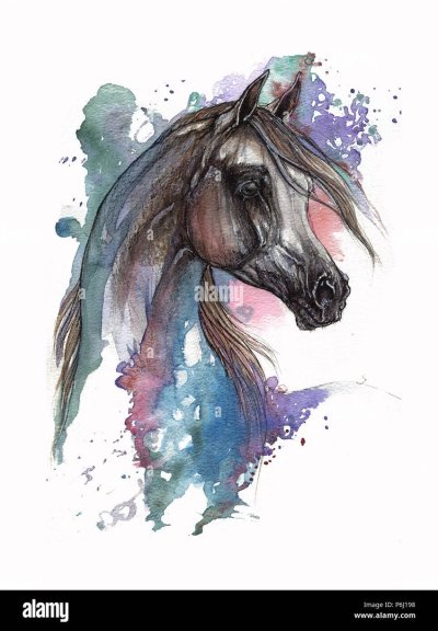 Лошадка акварель