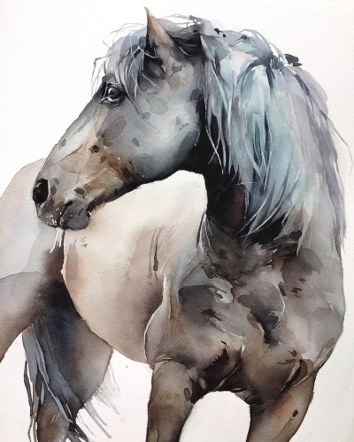 Американский Пейнтхорс лошадь