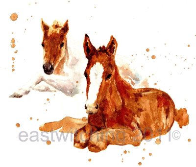 Лошадь рисунок акварелью