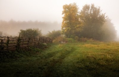 Утро туман деревня