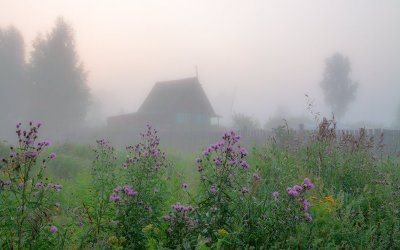 Туманное утро в деревне